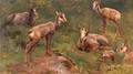 Goats - Rosa Bonheur