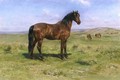 Wild Horses 1889 - Rosa Bonheur