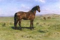 Wild Horses 1889 - Rosa Bonheur