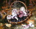 A Basket of Wild Mushrooms and Blackberries - Jabez Bligh