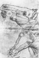 Study of Horse Heads 1433-38 - Antonio Pisano (Pisanello)