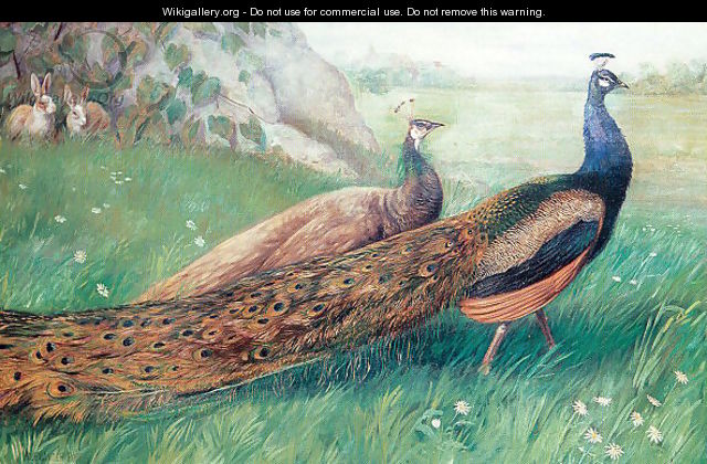 Peacocks - Alexander Pope