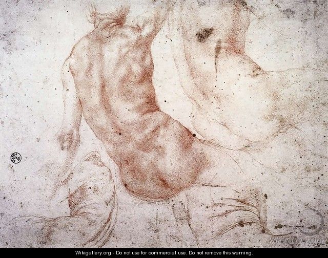 Seated Nude with Raised Arm - (Jacopo Carucci) Pontormo
