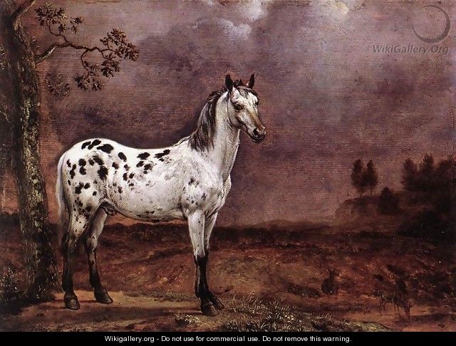 The Spotted Horse - Paulus Potter