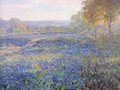 Fields of Bluebonnets 1920 - Julian Onderdonk