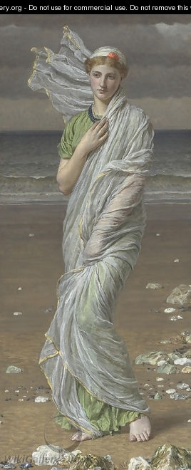 Shells 1874 - Albert Joseph Moore