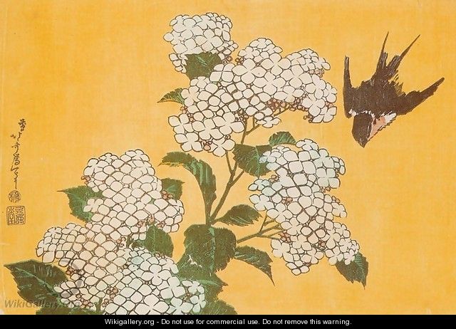 Hydrangea and Swallow - Katsushika Hokusai
