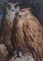 Two Owls - Gustave Dore