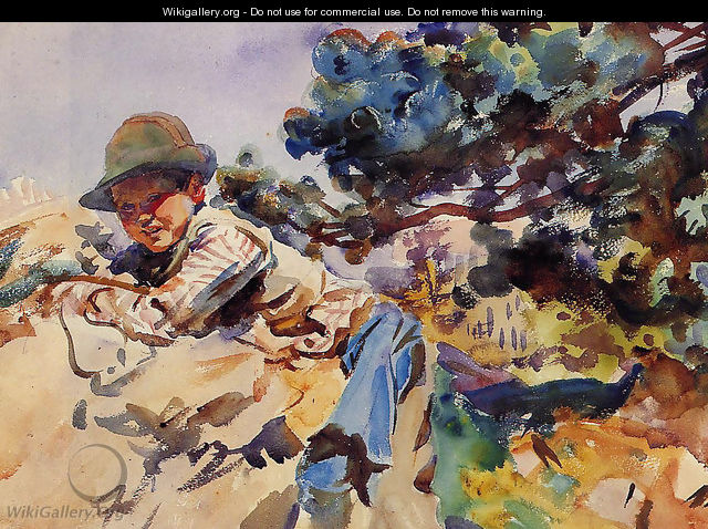 Boy on a Rock - John Singer Sargent