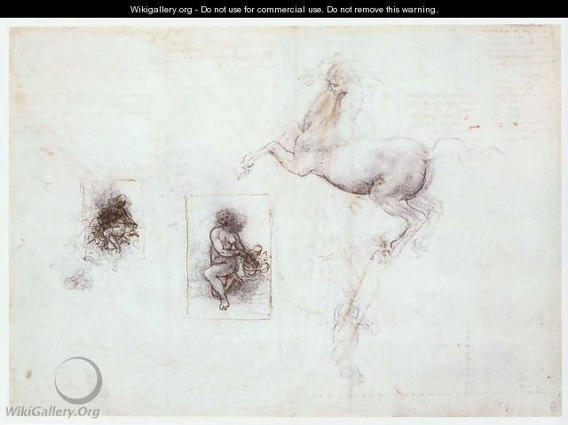Studies of Leda and a horse - Leonardo Da Vinci