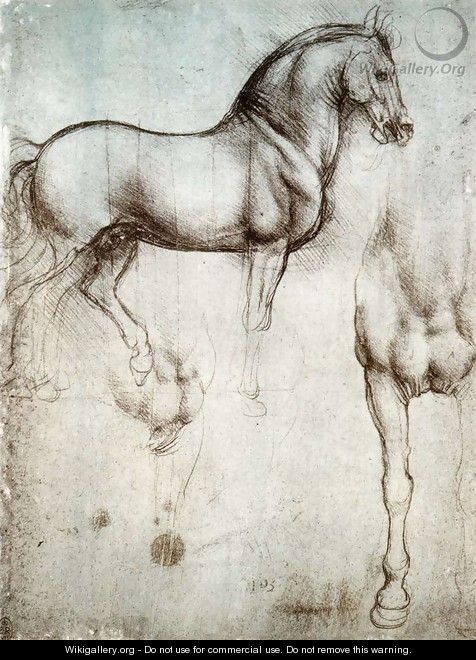 Study of horses - Leonardo Da Vinci