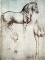 Study of horses - Leonardo Da Vinci