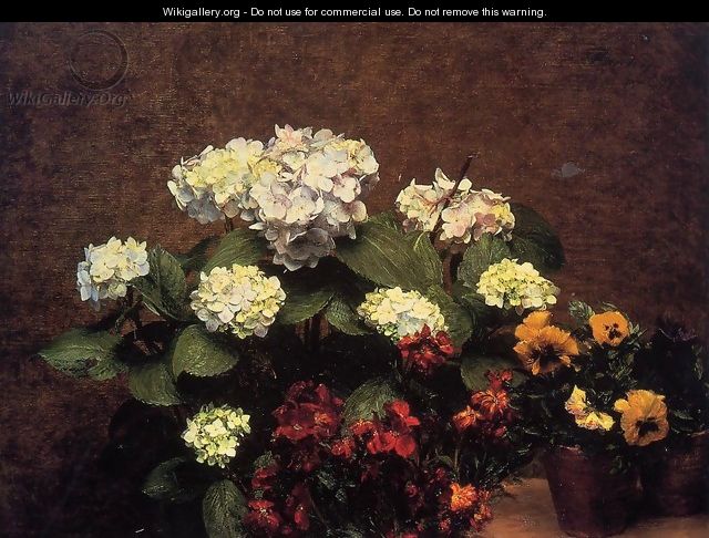 Hydrangias, Cloves and Two Pots of Pansies - Ignace Henri Jean Fantin-Latour