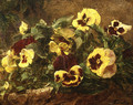 Pansies - Ignace Henri Jean Fantin-Latour