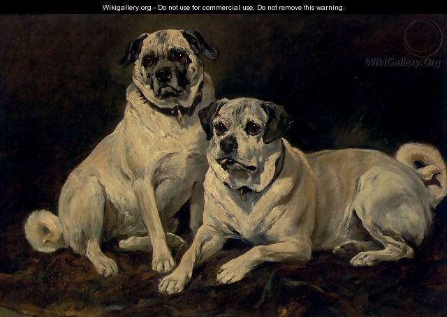 Pugs - John Emms