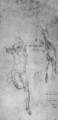 Male nude; arm; bearded man - Michelangelo Buonarroti