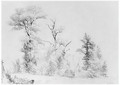 Three Trees, Hoboken - Asher Brown Durand