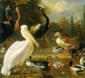 Birds in a Park II - Melchior de Hondecoeter