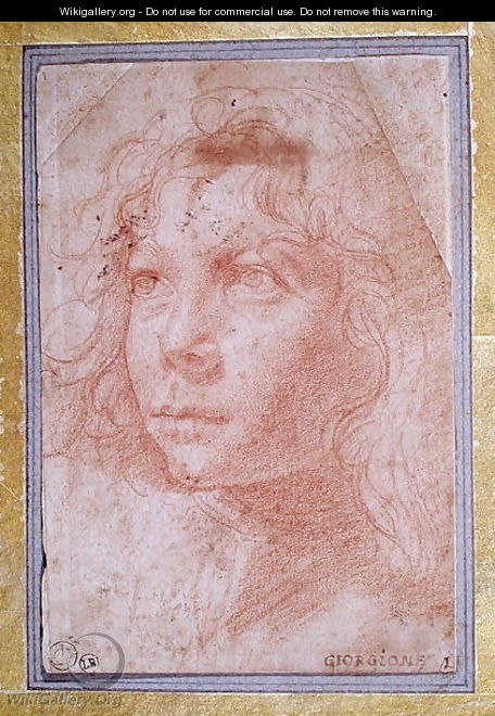 Head of a young boy turned to the left - Polidoro Da Caravaggio (Caldara)