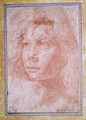 Head of a young boy turned to the left - Polidoro Da Caravaggio (Caldara)