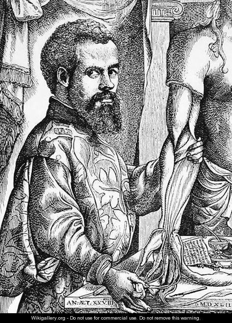 Portrait of Andreas Vesalius (1514-64) from his book 