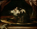 The Head of St. John the Baptist - Francesco del Cairo