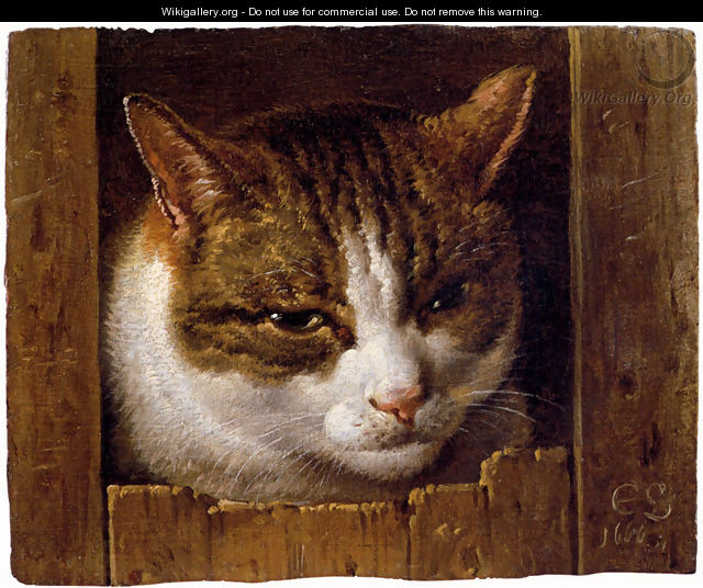 A Cat Peeping Through A Fence - Cornelis Saftleven