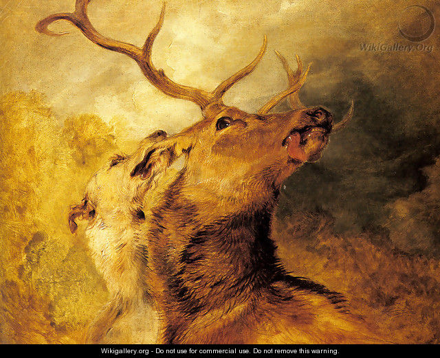 Stag and Hound - Sir Edwin Henry Landseer