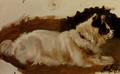 Study Of A Chow - Sir Edwin Henry Landseer