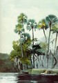 Homosassa River - Winslow Homer