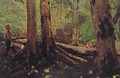 Woodchopper in the Adirondacks - Winslow Homer