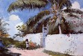 A Garden in Nassau - Winslow Homer