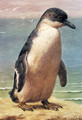 Study Of A Penguin - Henry Stacy Marks