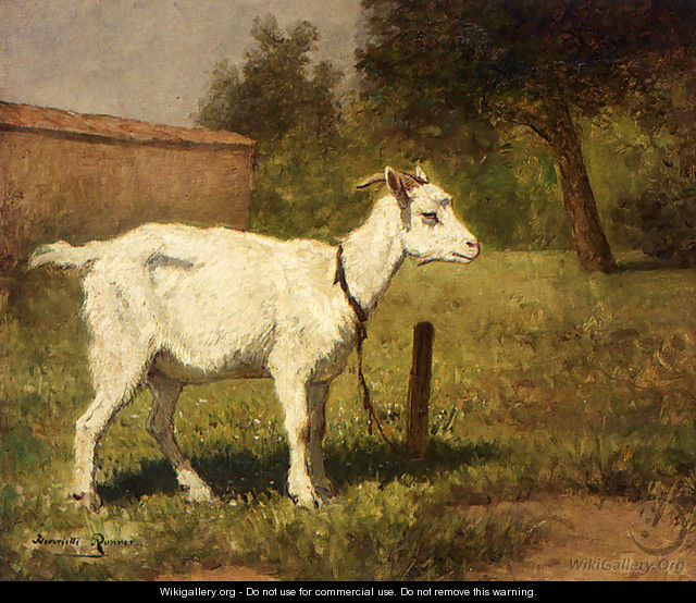 A Goat In A Meadow - Henriette Ronner-Knip