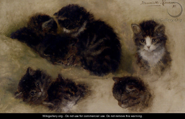 Studies Of Kittens - Henriette Ronner-Knip