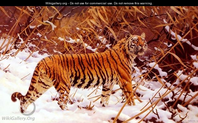 Siberischer Tiger In Einer Schneelandschaft (Siberian Tiger In A Winter Landscape) - Hugo Ungewitter