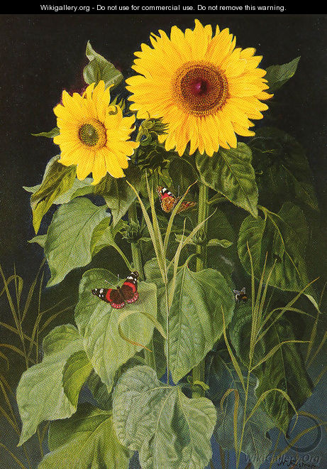 Sunflowers - Niels Fristrup