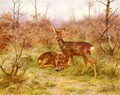 Un Couple De Chevreuils Dans Le Foret De Fontainebleau (A Couple of Roe-deers in the Forest of Fontainebleau) - Rosa Bonheur