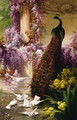 A Peacock and Doves in a Garden - Eugene Bidau