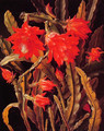 Cactus with Scarlet Blossoms - Christian Juel Mollback