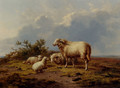 Sheep In The Meadow - Eugène Verboeckhoven