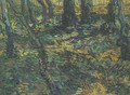 Undergrowth With Ivy - Vincent Van Gogh