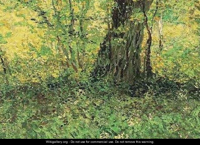 Undergrowth II - Vincent Van Gogh