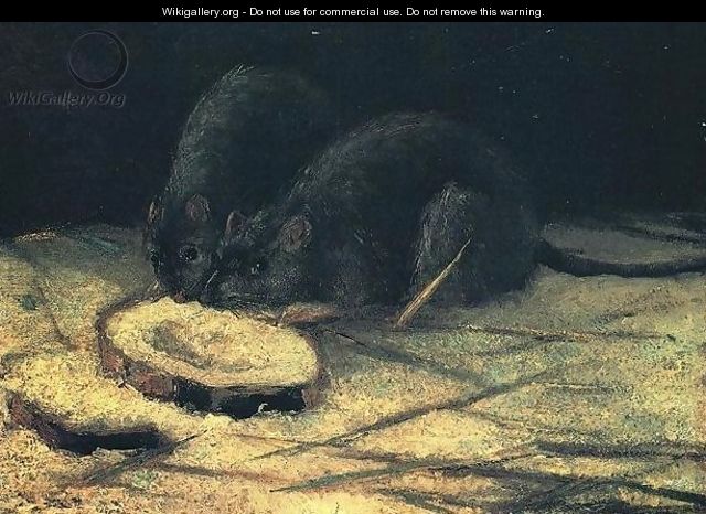 Two Rats - Vincent Van Gogh
