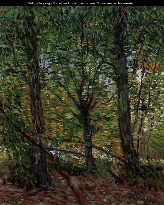 Trees And Undergrowth - Vincent Van Gogh