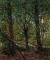 Trees And Undergrowth - Vincent Van Gogh