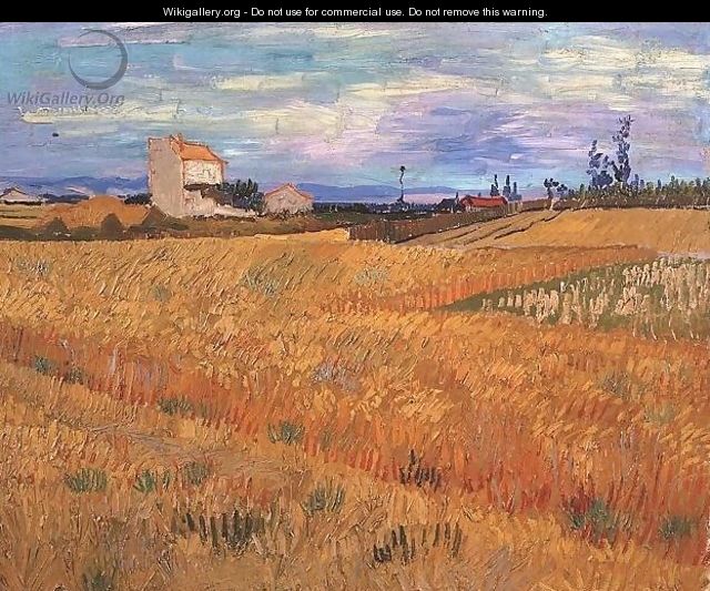 Wheat Field - Vincent Van Gogh