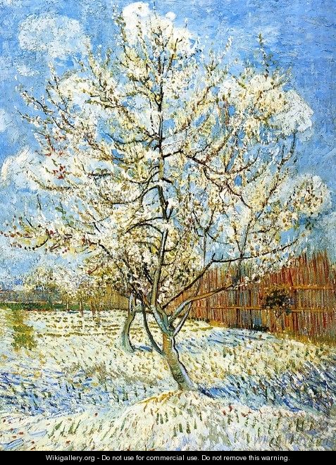Peach Tree In Blossom - Vincent Van Gogh