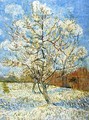 Peach Tree In Blossom - Vincent Van Gogh