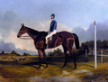 A Racehorse With Jockey Up - Fred Henderson